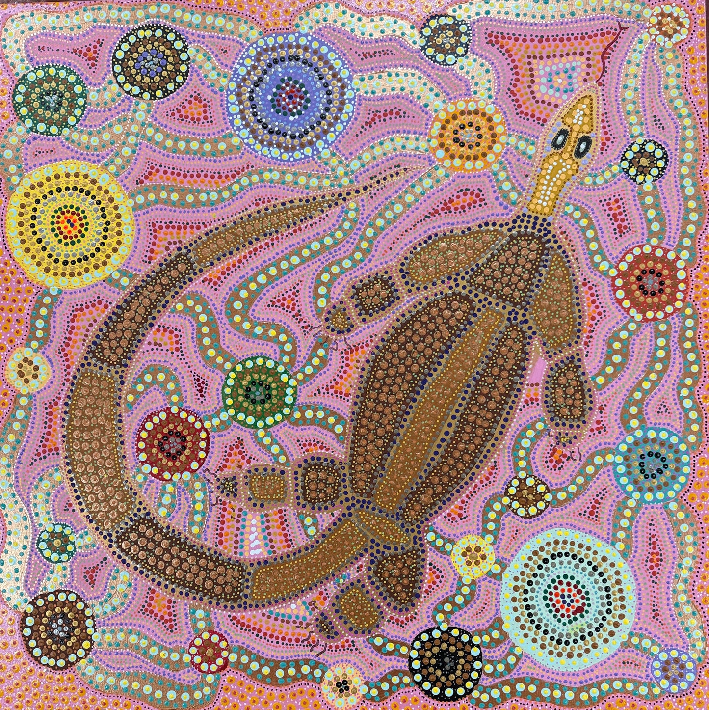 Bungarra by Wade Little