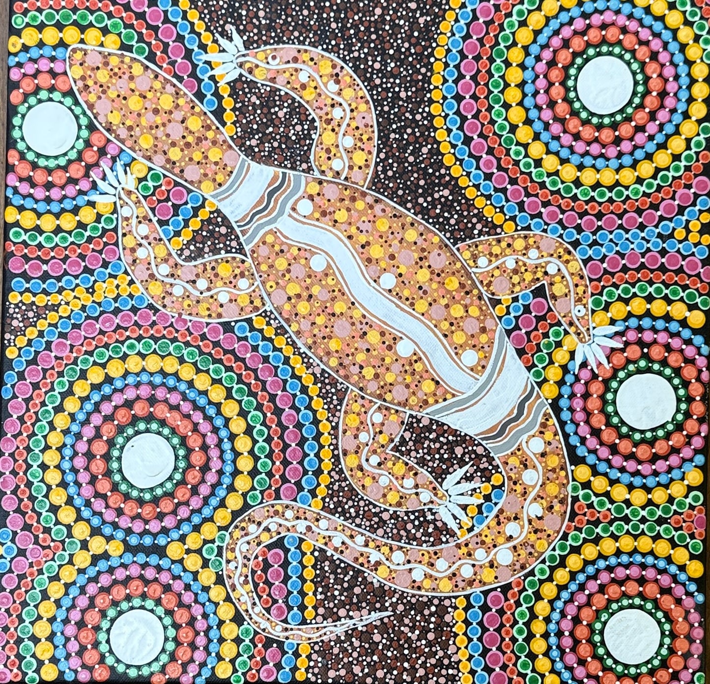 Bungarra amongst the wildflowers by Peggy Walsh