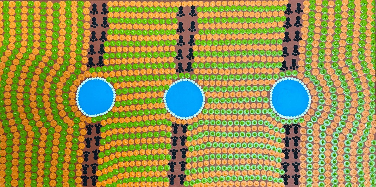 24-116 Waterhole Country by Joselyn Walsh