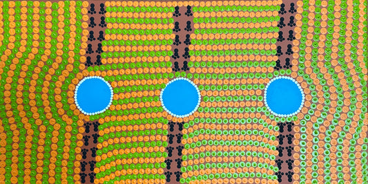 24-116 Waterhole Country by Joselyn Walsh