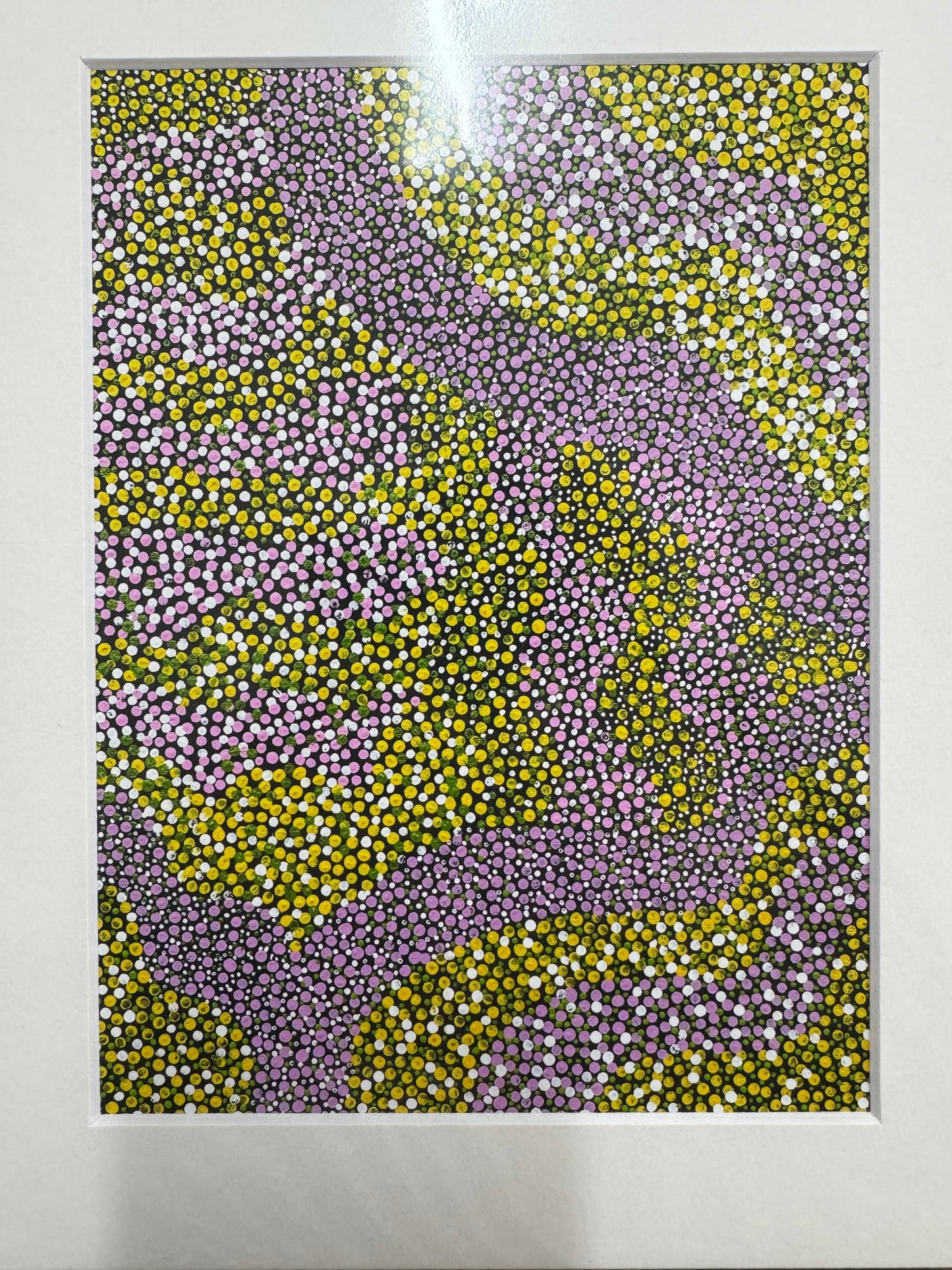 Wild Flower Prints A & B