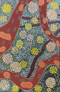 Wild Flowers on Badimia Country by Sandra Henry