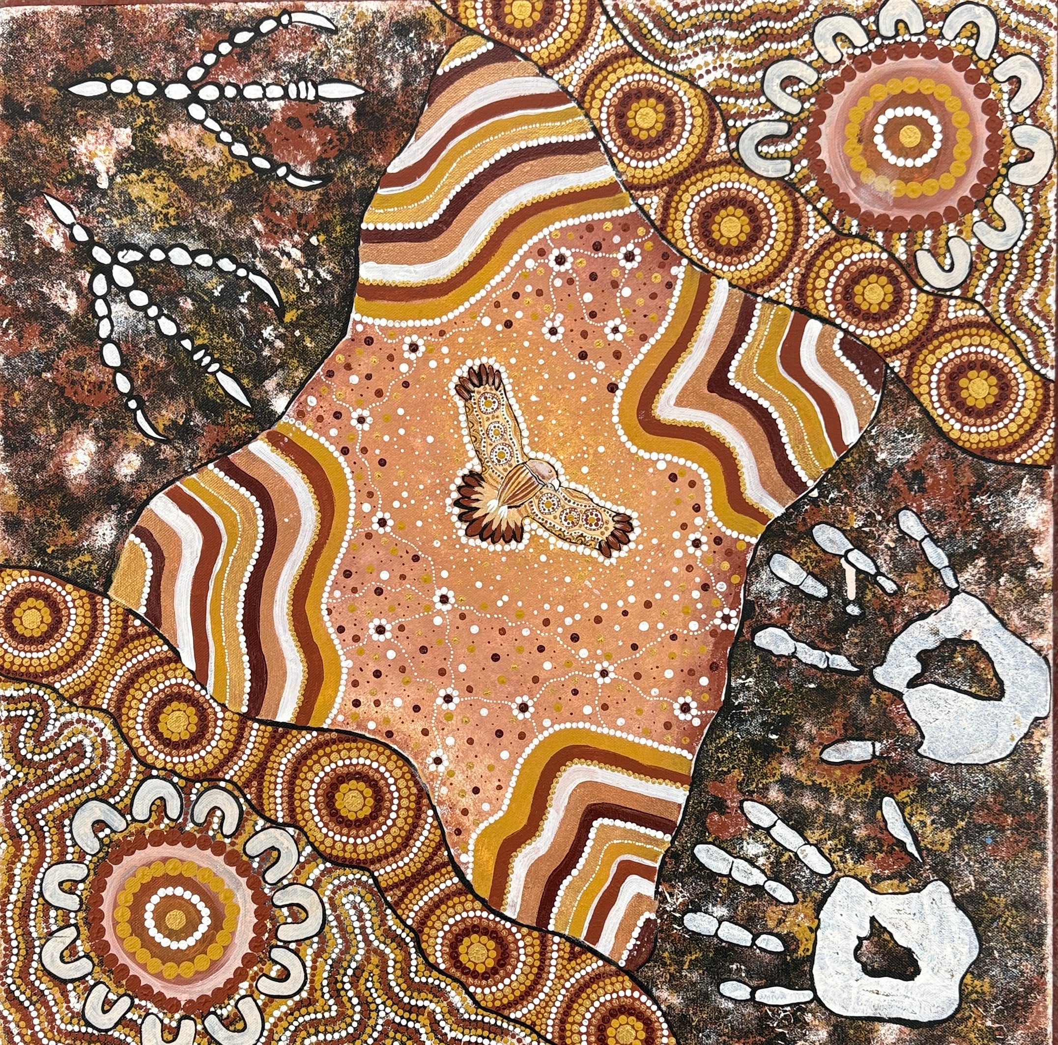 The Wedge -Tailed Eagle by Peta Curley