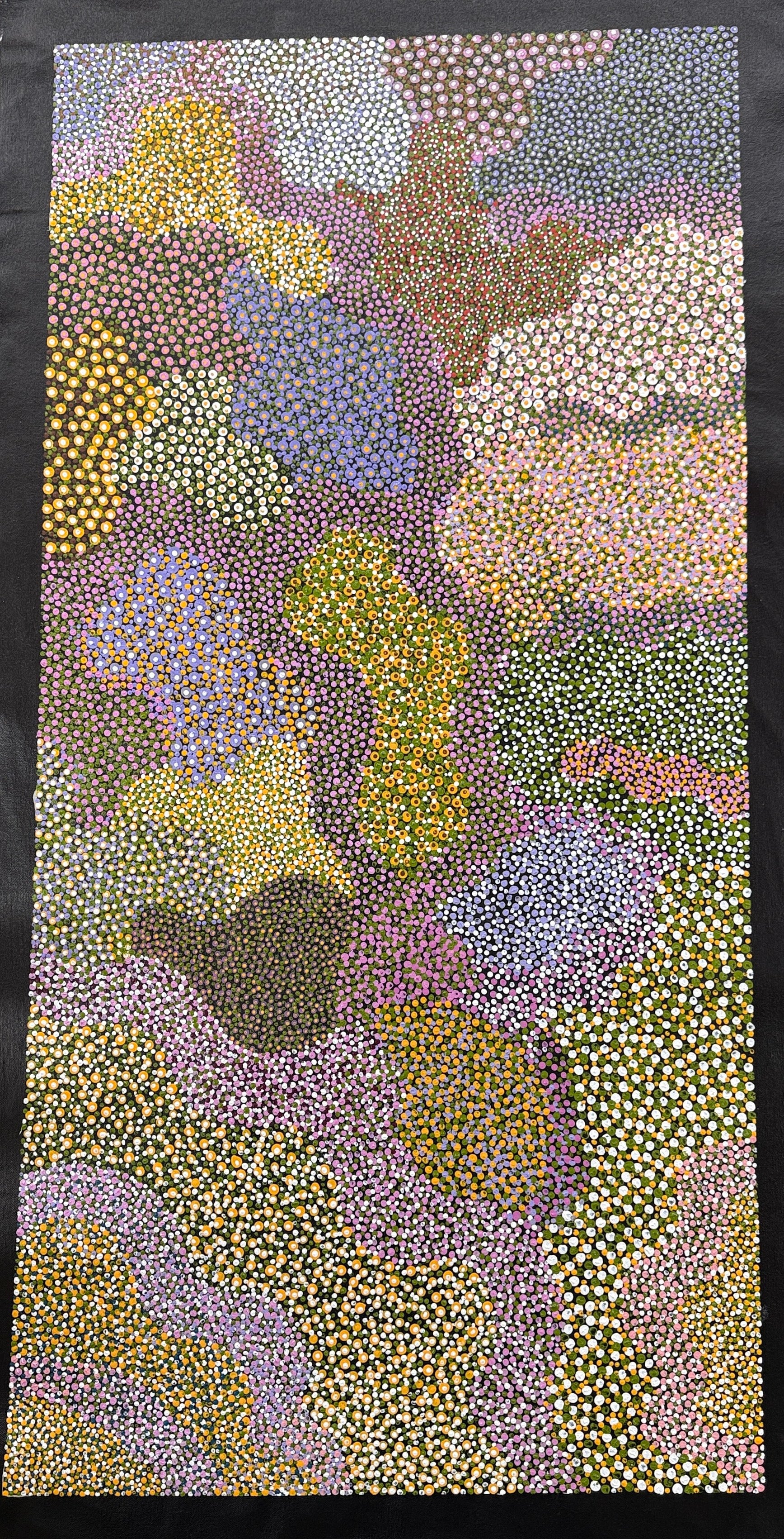 Colours of our wildflowers on Badimia Country by Elizabeth (Annie) Walsh