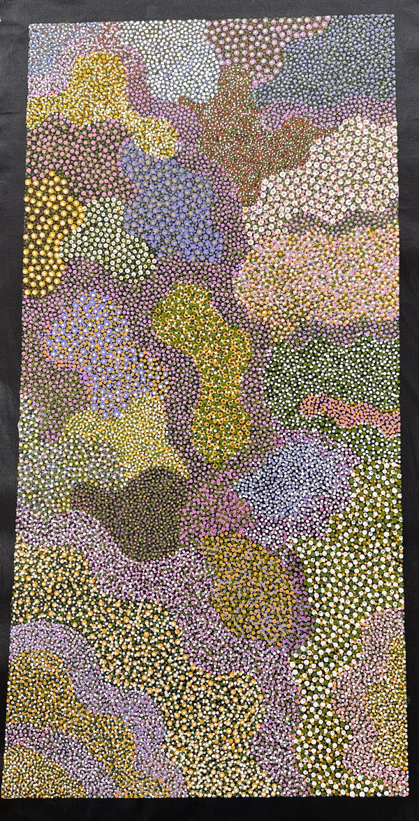 Colours of our wildflowers on Badimia Country