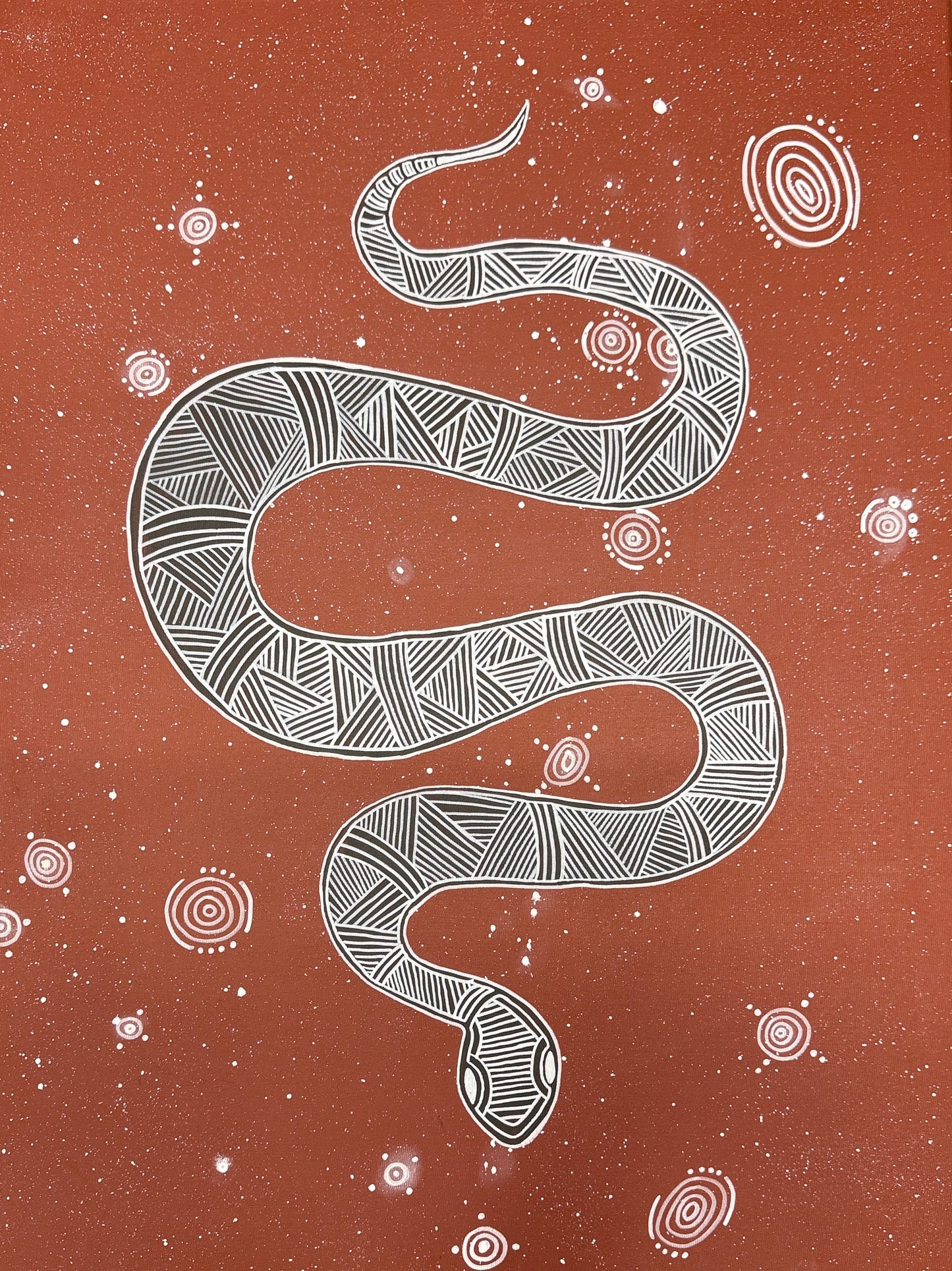 Snake moving across Badimia Country by Pennocshea Little