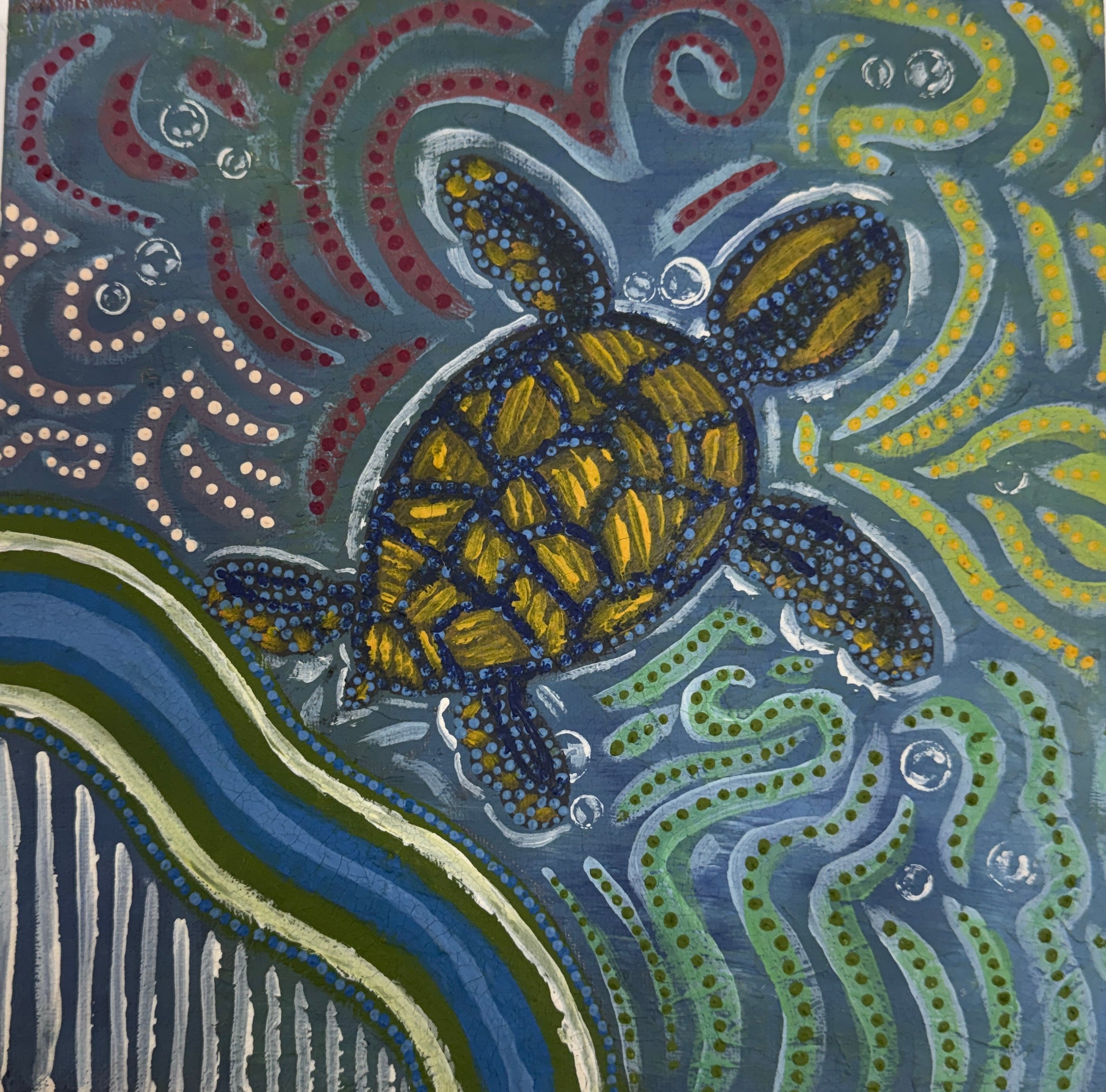 Turtle by Emily Dudley